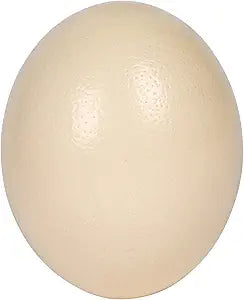 OSTRICH EGGS