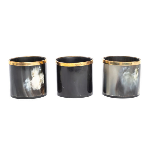 HORN VOTIVE