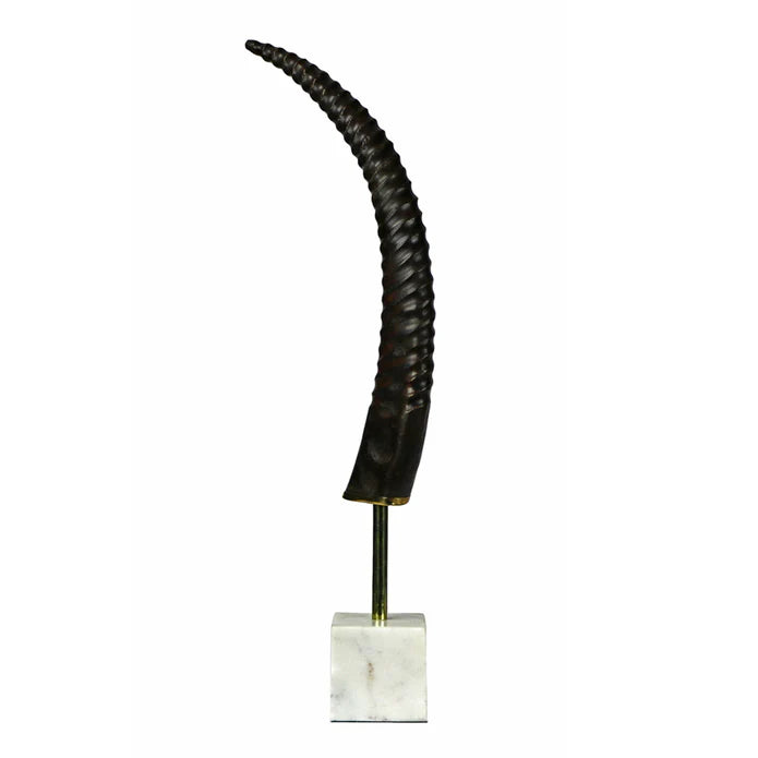 EXOTIC HORN/MEDIUM BASE
