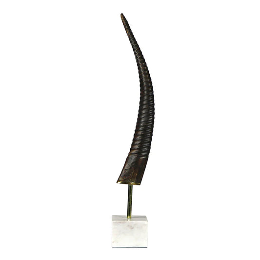 EXOTIC HORN/SMALL BASE