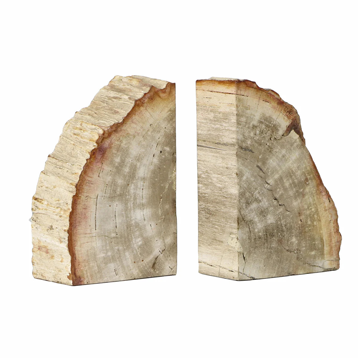 BOOKEND PAIR/ PETRIFIED ROCK