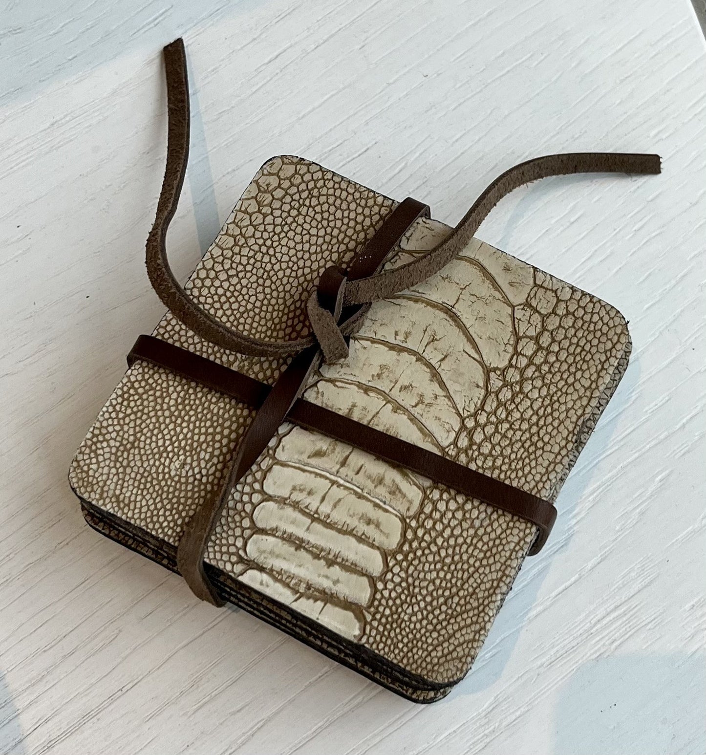 Ostrich Coasters (Set of 6)